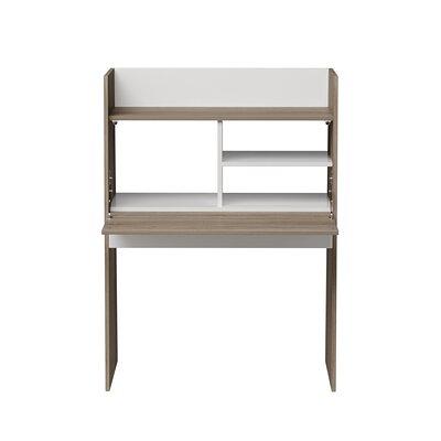 Balen 47.2'' Writing Desk