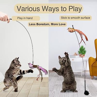 Pet Cat Toys Elasticity Retractable Hanging Door Type Interactive Toy For  Kitten Mouse Catnip Scratch Rope Toy Pet Supplies