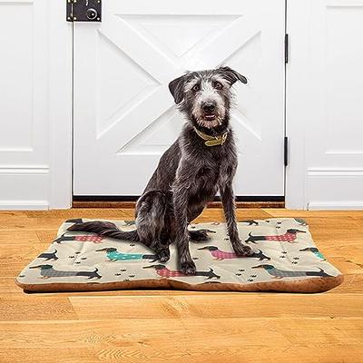 Wassud Funny Dachshund Dog Washable Small Dog Bed,Dog mats for