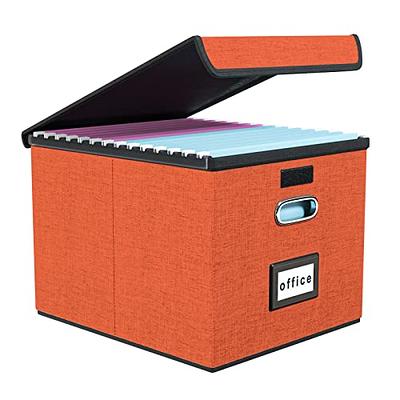 Large Storage Box with Handle, Storage Case With Handle