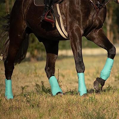 Harrison Howard Horse Sport Medicine Front Shock-Absorbing Boots