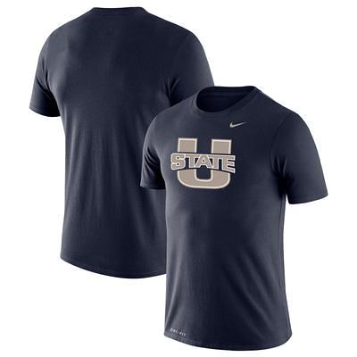 Nike Detroit Tigers Men's Logo Legend T-Shirt - Gray