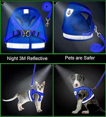 Fida Cat Leash Set for Walking Kitten and Puppy, Escape Proof Kitten  Harness with Breathable Lightweight Soft Mesh, Adjustable Reflective  Step-in