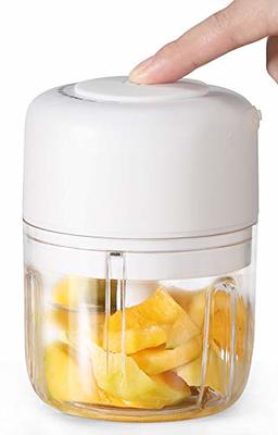 250ML Kitchen Electric Mini Hand Held Food Chopper Fruits