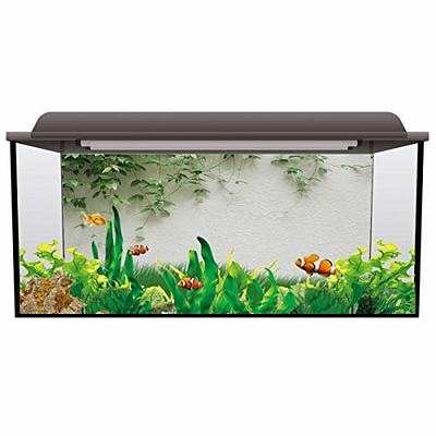 T&H XHome Aquarium Décor Backgrounds Spring Tree Branch Growing on a White  Wall Pattern Fish Tank Background Aquarium Sticker Wallpaper Decoration  Picture PVC Adhesive Poster 24.4 W x 12.4 H - Yahoo