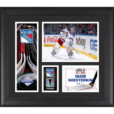 Henrik Lundqvist New York Rangers Fanatics Authentic Autographed 16 x 20  Photo Print - Created and Signed by Artist Brian Konnick - Limited Edition  of 130