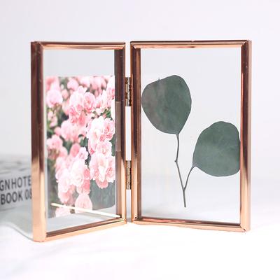 Hanging Small Pink Hexagon Herbarium Copper Glass Frame for Pressed Flowers  Dried Flowers