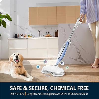 Paxcess Steam Mop, Powerful Floor Steamer, Tile Cleaner and Hard Wood Floor  Cleaner 