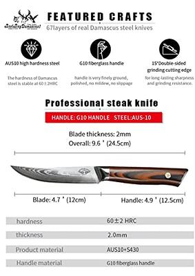  Sunnecko Damascus Steak Knife Set Non Serrated, Japanese VG10  Stainless Steel Steak Knife and Fork Set of 2, 5 Inch Steak Knives G10  Handle with Gift Box: Home & Kitchen