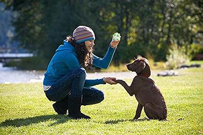 Treat Dispensing Dog Toys, Dog Puzzle Toys Interactive Dog Chew Toys Balls  (3 Packs) IQ Training Teeth Cleaning Food Dispensing for Small Medium Large  Dogs Puppies - Yahoo Shopping