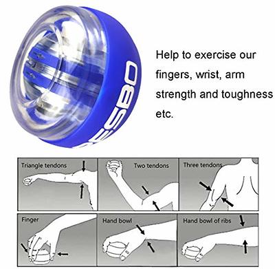 Self-Starting Wrist Gyro Ball Forearm and Grip Trainer Blue Color