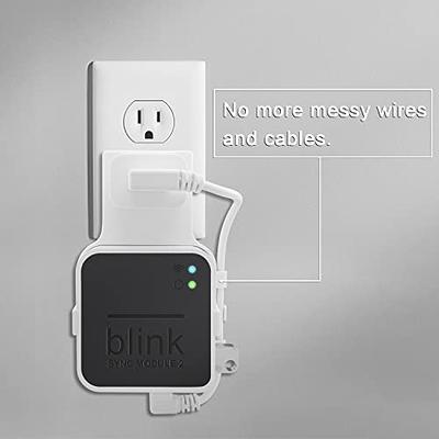 256GB USB Flash Drive and Outlet Wall Mount for Blink Sync Module
