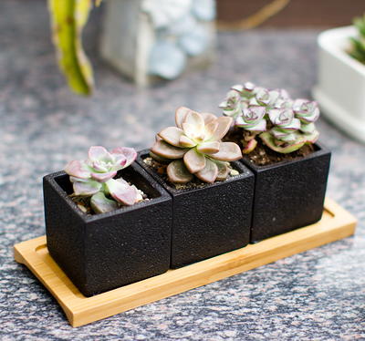 MyGift Modern Small Indoor Plant Pot with Drainage Hole, 6 inch White and Gray Ceramic Marbled Succulent Planter with Removable Gold Tray