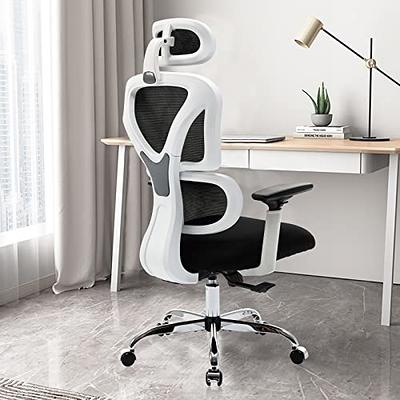 Winrise Office Chair Ergonomic Desk Chair, High Back Gaming Chair, Big and Tall Reclining Chair Comfy Home Office Desk Chair Lumbar Support Breathable