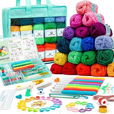 Crochet kit for Beginners| 40 Mini Skeins of Colorful Acrylic Yarn for  Crocheting & Knitting (875 Yards), Storage Bag, 2 Crochet Hooks, 4 Crochet
