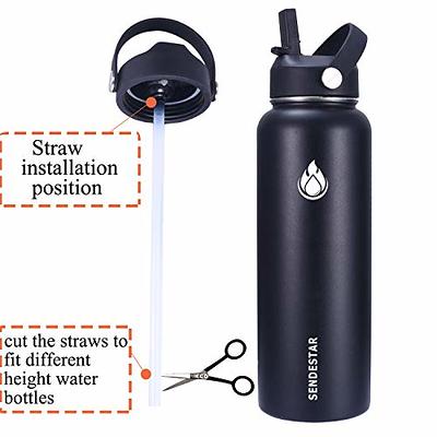 BlenderBottle Bottle Brush 2-In-1 with Flexible Mini Brush for Straws and  Spouts 