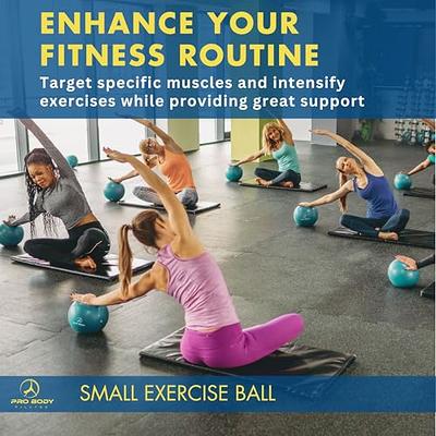 ProBody Pilates Ball Small Exercise Ball w/Pump, 9 Inch Bender Ball, Mini  Soft Yoga Ball