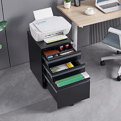 Vertical File Cabinet, Printer Stand with 2 Drawers & Storage ShelvesBlack