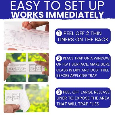 BUGMD Barfly - Window Fly Traps (2 Pack) - Window Fly Paper, Fly Trap  Indoor, Window Fly Strips, Window Fly Tape, Indoor Fly Trap for Home, Fly