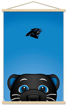 NFL Carolina Panthers - 3 Point Stance 19 Poster