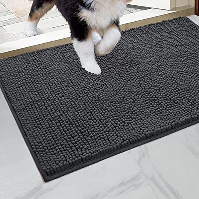 HOMEIDEAS Absorbent Chenille Door Mat Indoor, 20“x32”, Dirt