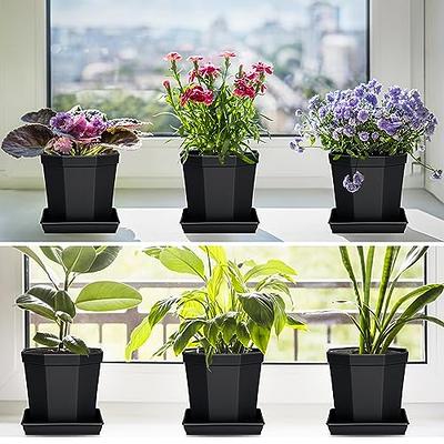 LWALRS Square Plant Saucer 10 Inch 5 Pack, Plastic Plant Water Dray Tray  Plants, Pot Saucers for Plants Square Planters for Indoors and Outdoors  Plants, Garden Saucer for Plant Pots. - Yahoo Shopping