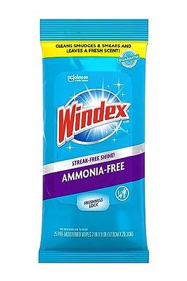 Windex Glass and Surface Ammonia-Free Pre-Moistened Wipes, Crystal Rain  Fresh Scent, 25 Count - Yahoo Shopping