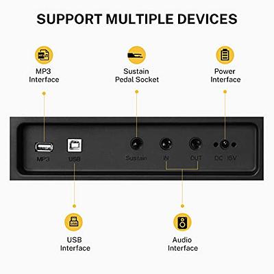 Donner DDP-100 88-Key Weighted Action Digital Piano with Piano