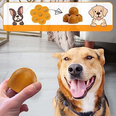 Vodolo Frozen Dog Treat Mold Large for Pupsicle with Lid,Dog