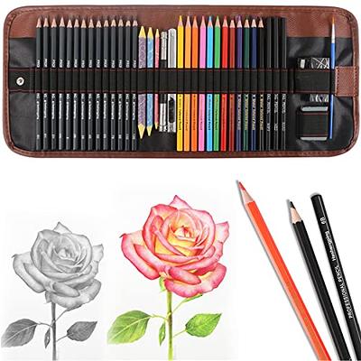 Drawing Kit Art Set 60pc - Graphite Drawing Pencils for Sketching with  Charcoal Art Supplies - Professional Drawing Set for Artists and Beginners