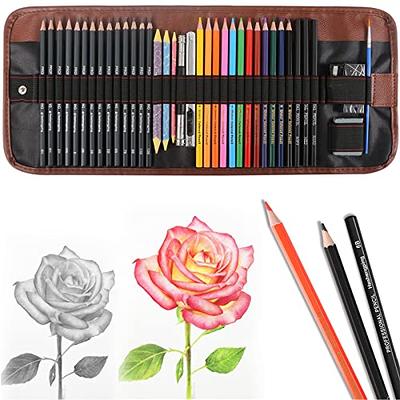 KALOUR Drawing Sketching Pencil Set,36 Pro Art Pencil Kit,12 Graphite –  WoodArtSupply