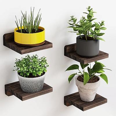 Fixwal Small Floating Shelves, 5X5 Inches Wall Shelf Set of 4