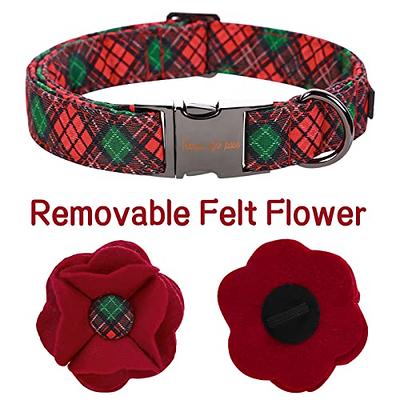 Gelwoo Dog Collars with Buckle Adjustable for Cute Girl Female Boy  Dogs,Special Soft and Fancy Dog Pet Collar with Flower Design for Small  Medium