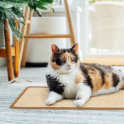 FUKUMARU Cat Scratcher Mat, 23.6 X 15.7 Inch Natural Sisal Cat Scratch  Mats, Horizontal Cat Floor Scratching Pad Rug with Sticky Velcro Tapes,  Protect