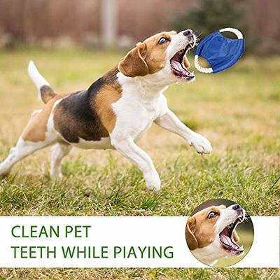 Pet Supplies : Apetpup Dog Toys for Aggressive Chewers