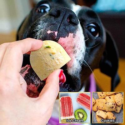 WOOF Pupsicle Treat Dispensing Dog Toy