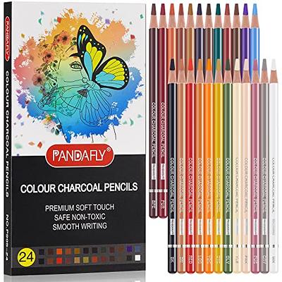 12 Pieces (Soft, Medium & Hard) Charcoal Pencils for Drawing