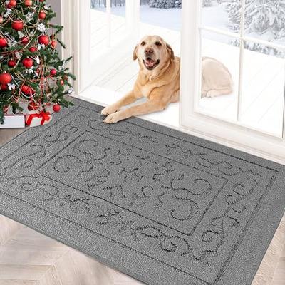 FONEYI Indoor Door Mat, Front Back Door Mat 32x48 Non-Slip