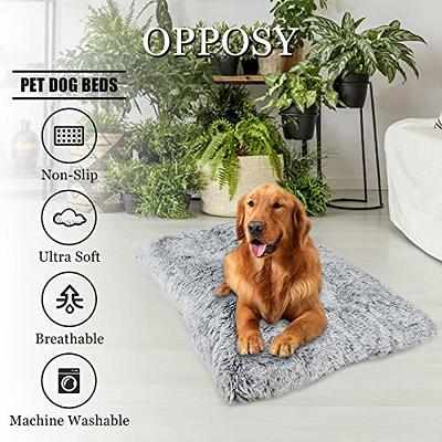 JOEJOY Dog Bed Crate Pad, Ultra Soft Calming Dog Crate Bed Washable  Anti-Slip Kennel Crate Mat for Medium Small Dogs, Dog Mats for Sleeping and  Anti