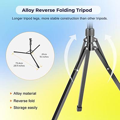 Aureday 10''Selfie Ring Light with 62 Adjustable Tripod Stand & Phone  Holder for Live Stream/Makeup, Dimmable LED Ringlight for  Tiktok//Zoom