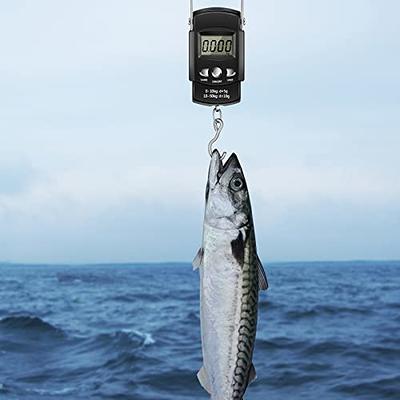 Fish Lip Gripper Fish Digital Scale Fish Holder with Electronic