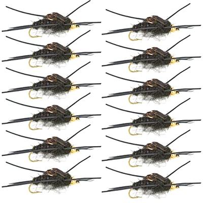 The Fly Fishing Place Bead Head Nymph Fly Fishing Flies - Flashback Gold  Ribbed Hare's Ear Trout Fly - Nymph Wet Fly - 6 Flies Hook Size 12