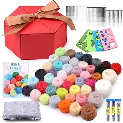 Mayboos Needle Felting Kit, Wool Roving 20 Colors Set, Wool Felting Tool Starter Kit Felt Molds with Portable Storage Box for DIY Craft Home