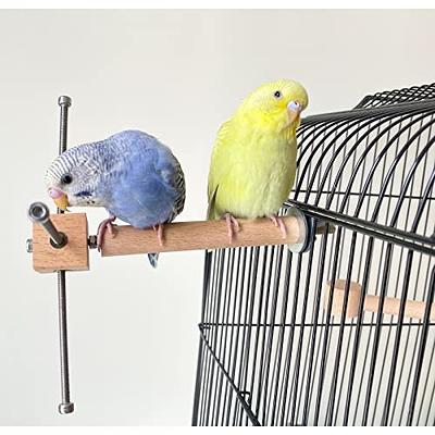  EBaokuup 5PCS Natural Wood Bird Perches for Parrot - Wooden Bird  Parrot Stand Branches Parakeet Cage Perch Accessories for Small Birds  Budgies Cockatiels Conure Lovebirds : Pet Supplies