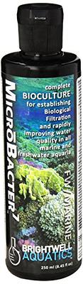 Glasgarten Bacter Ae Shrimp Tank Treatment (70G) | Nutrients For Live  Freshwater Shrimp Food / Aquarium Water (Neocaridina, Amano, Red Cherry,  Rili)