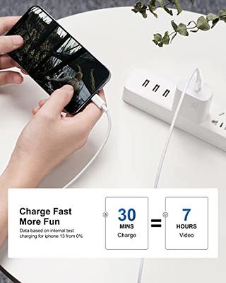 iPad Pro Charger iPad Fast Charger, 30W USB C Fast Wall Charger Blcok with  60W/3A 10FT Long USB C to USB C Cable for iPad Pro 12.9/11 inch, iPad 10th