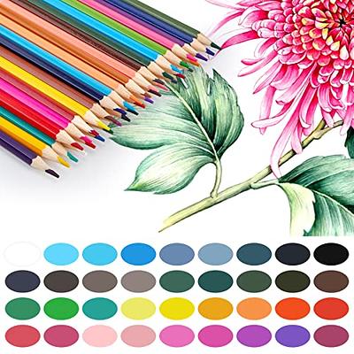 GLOGLOW Drawing Colored Pencils, Metallic Color Pencils, Easy to Coloring  School Office Painting Enthusiast Kids - Yahoo Shopping