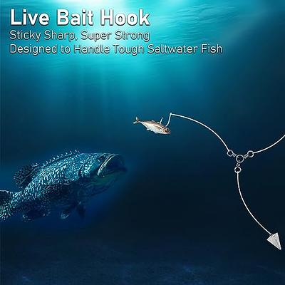 Dr.Fish 50 Pack Live Bait Hooks Saltwater Fishing Circle Hooks J