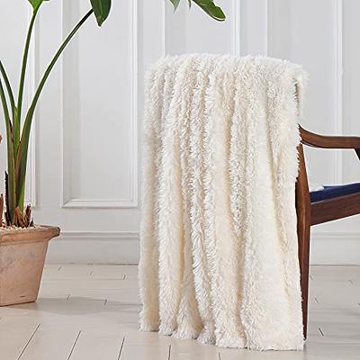 BEAUTEX Faux Fur Throw Blanket, Soft Sherpa Fluffy Blankets, Warm Thick  Plush Flannel Blanket, Luxury Fuzzy Blankets for Home Room Decor, Shaggy  Throw