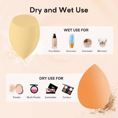 Makeup Sponge Set Beauty Blender Dry Wet Use Makeup Beauty - Temu